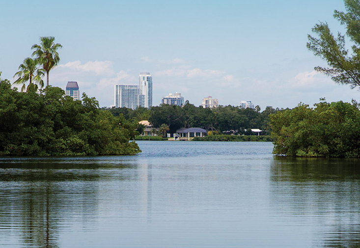 University of South Florida: A Preeminent Research University