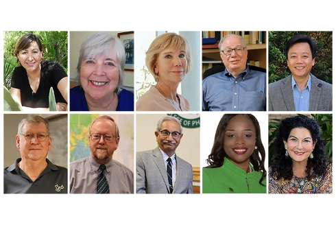 Ten USF faculty members