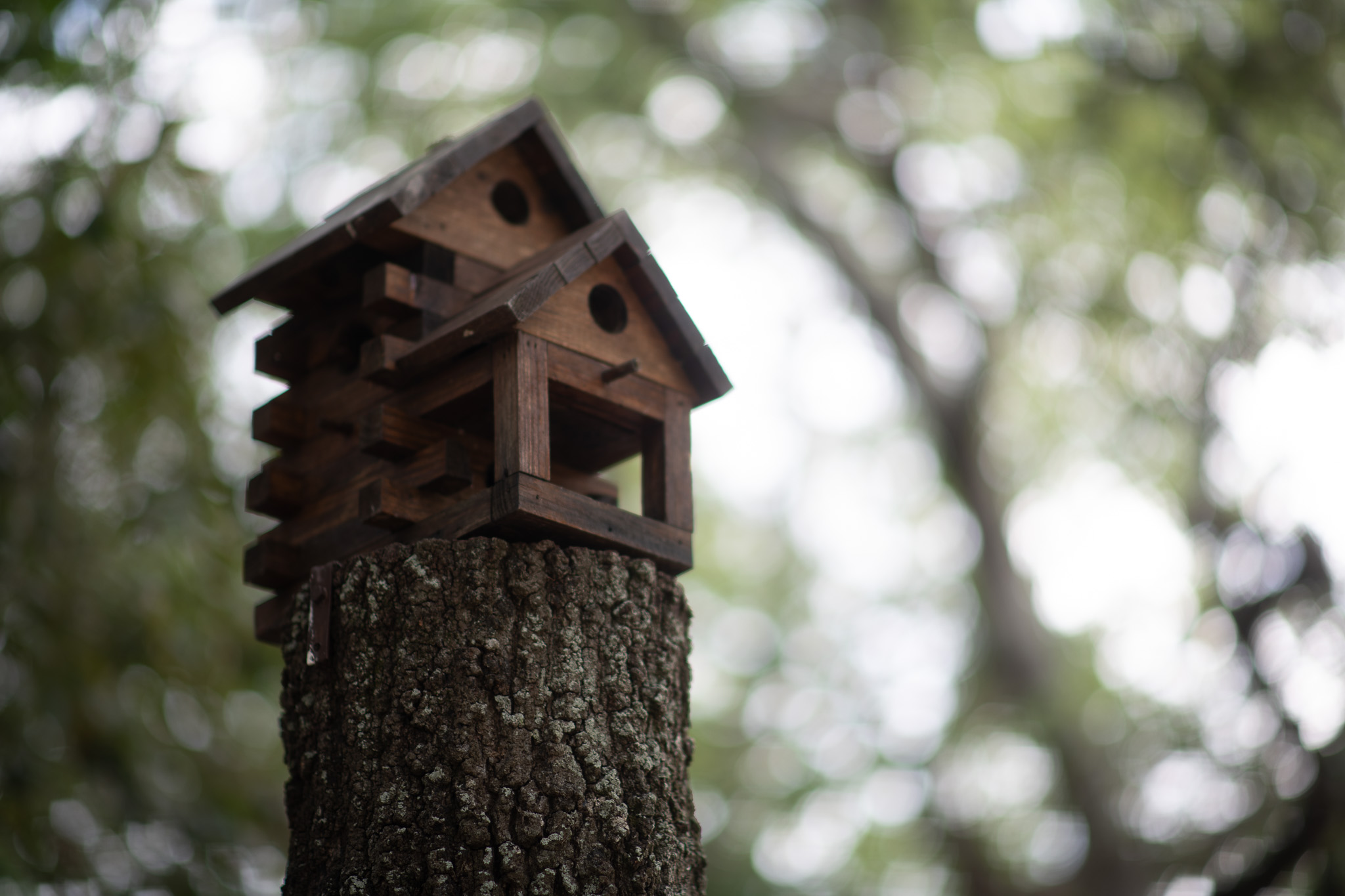 Photo of a birdhouse