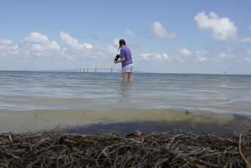 Photo of a girl collecting data in the ocean