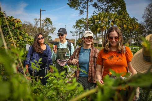 USF professor Esteli Jimenez Living Agroecology Lab has selected the community garden as one of 15 in the Tampa Bay area.