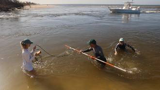 Libby, Lara, and Ping collecting flow measurments