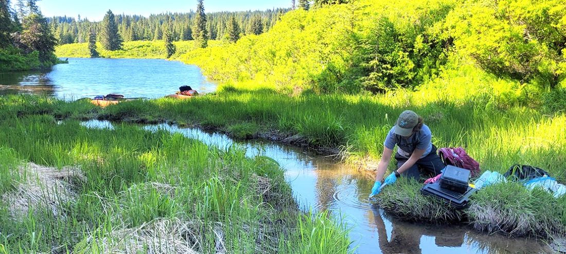Tyelyn collecting samples in Alaska
