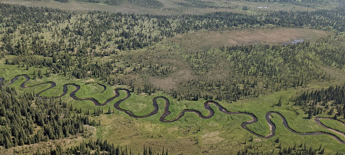 Meandering river in the Kenai Lowlands