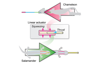 Graphical Abstract from Research Journal