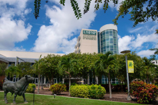 USF ST. Petersburg Campus