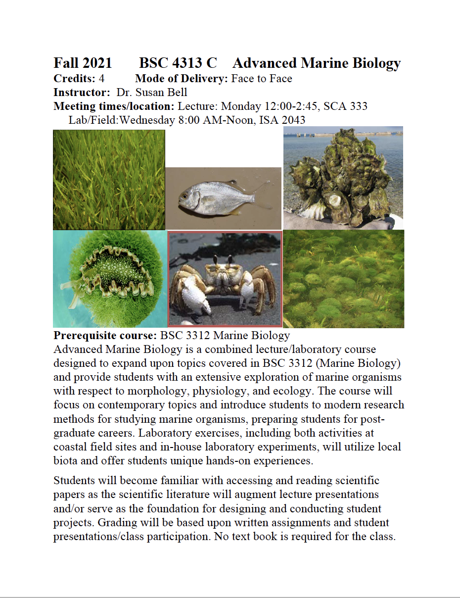 Advanced Marine Biology Flyer