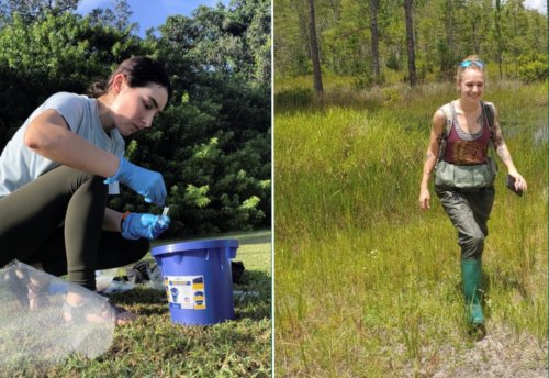 conservationbiologystudents