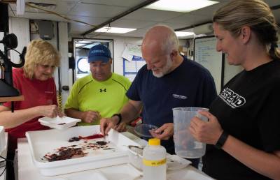 group working with specimen