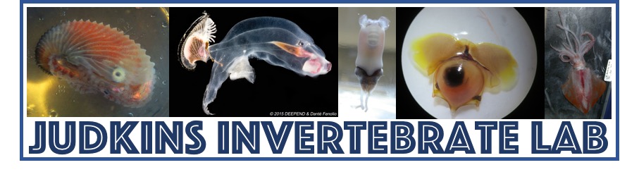 Judkins Invertebrate Lab logo