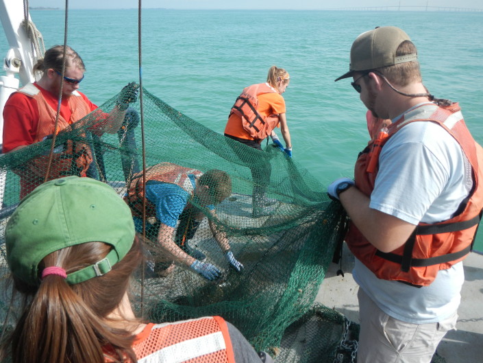 men hauling a net