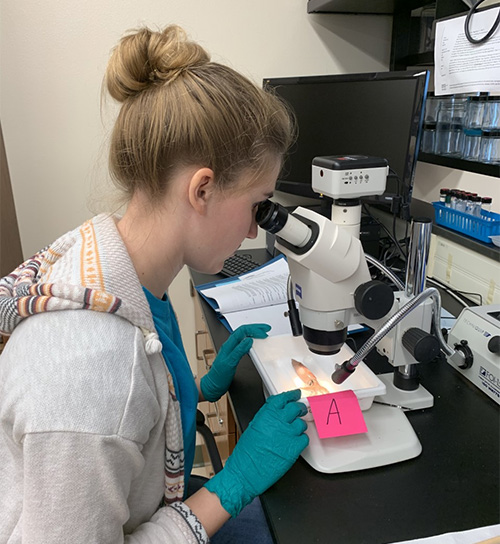 Sarah looking into microscope