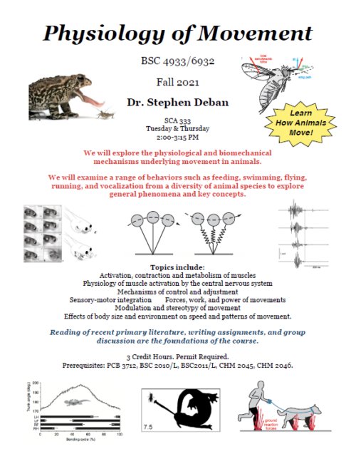 physiology of movement flyer