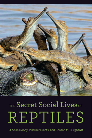 Secret Lives Reptiles