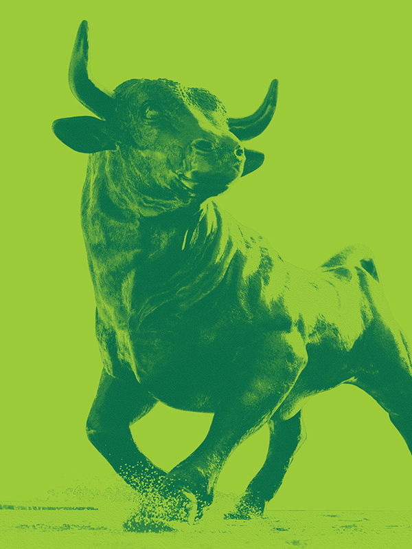 green bull illustration placeholder