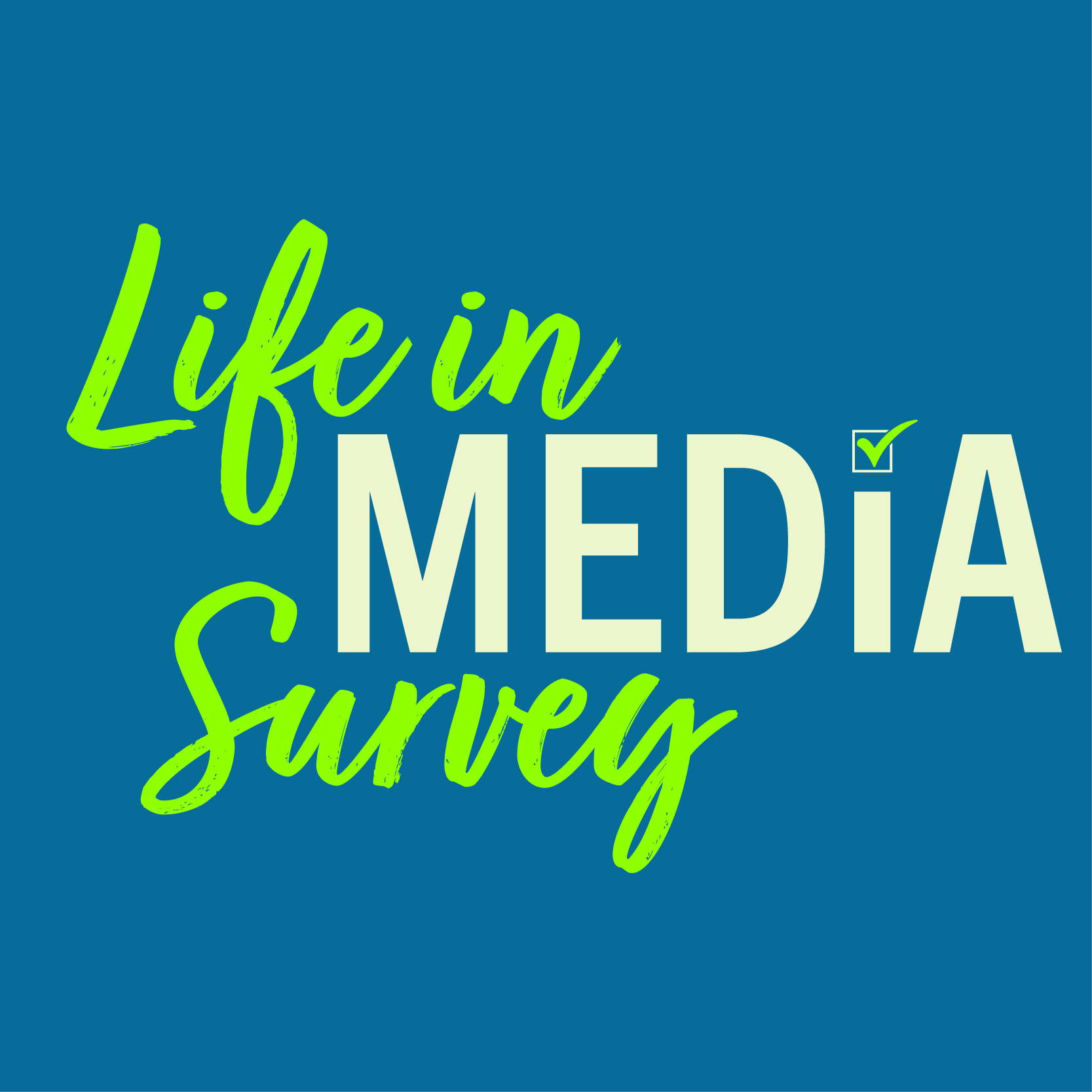 Life in Media Survey