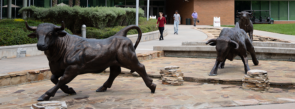 bronze bull statues in courtyard of MSC