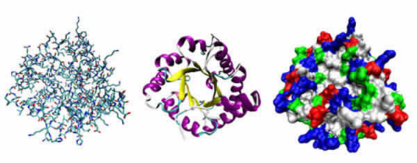 Structural and Computational Biology