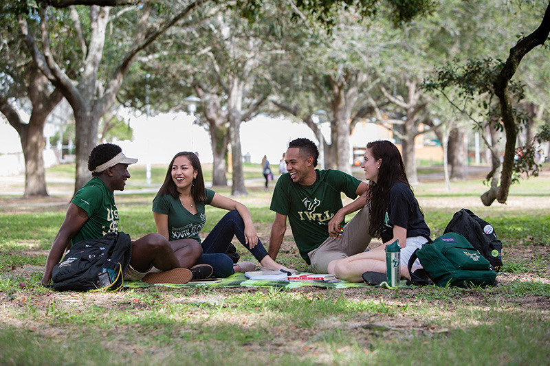 students sitting on lawn