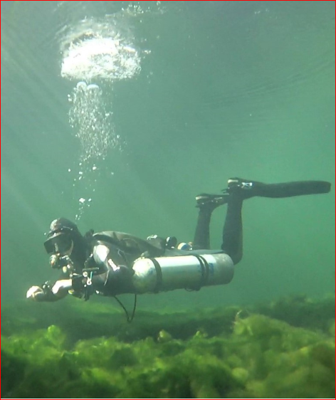 Robert Scharping diving