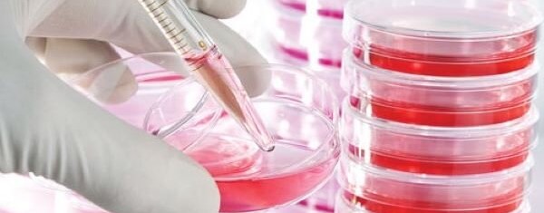 Resized Cellculture 