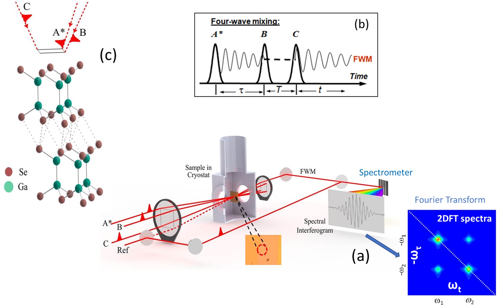 Time-Resolved and Nonlinear Two-Dimensional Spectroscopy