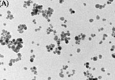 Magnetic Nanoparticles