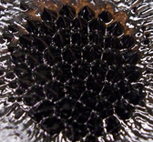 Ferrofluids