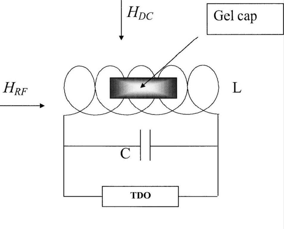 Transverse Susceptibility