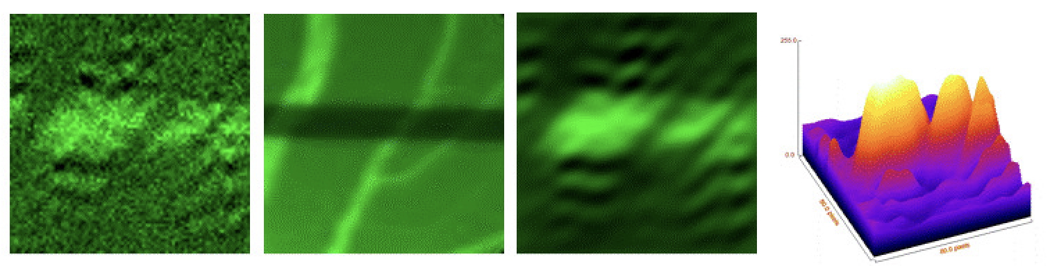spinwaves