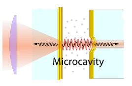 Microcavity