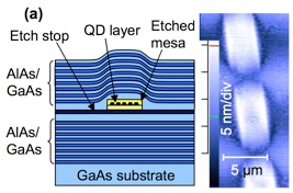 Schematic and surface AFM Image
