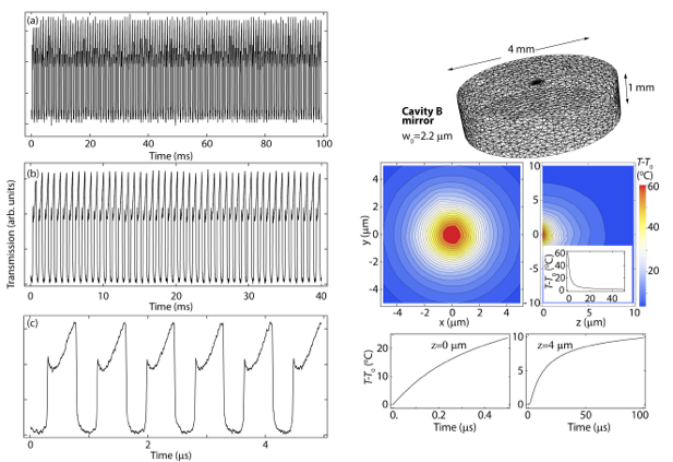 Slow-fast thermomechanical microcavity oscillations