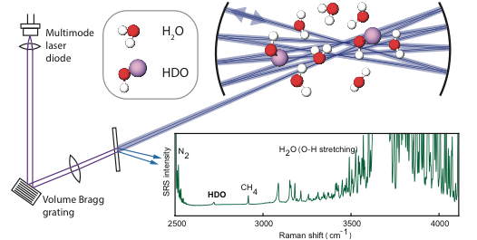 Trace Measurement