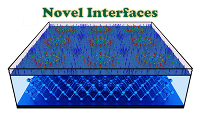 Novel Interfaces