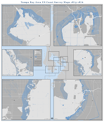 tampa-bay-coastline