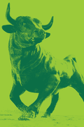 Bulls Image Placeholder