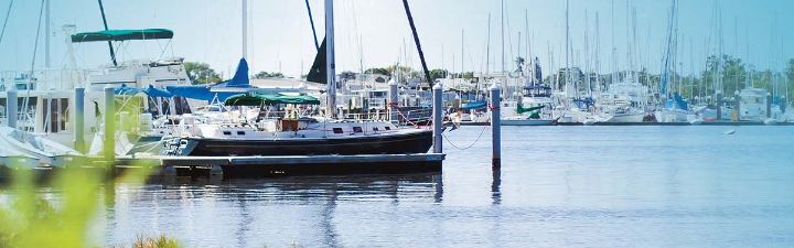 St. Pete Marina