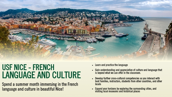 nice france flyer snippet