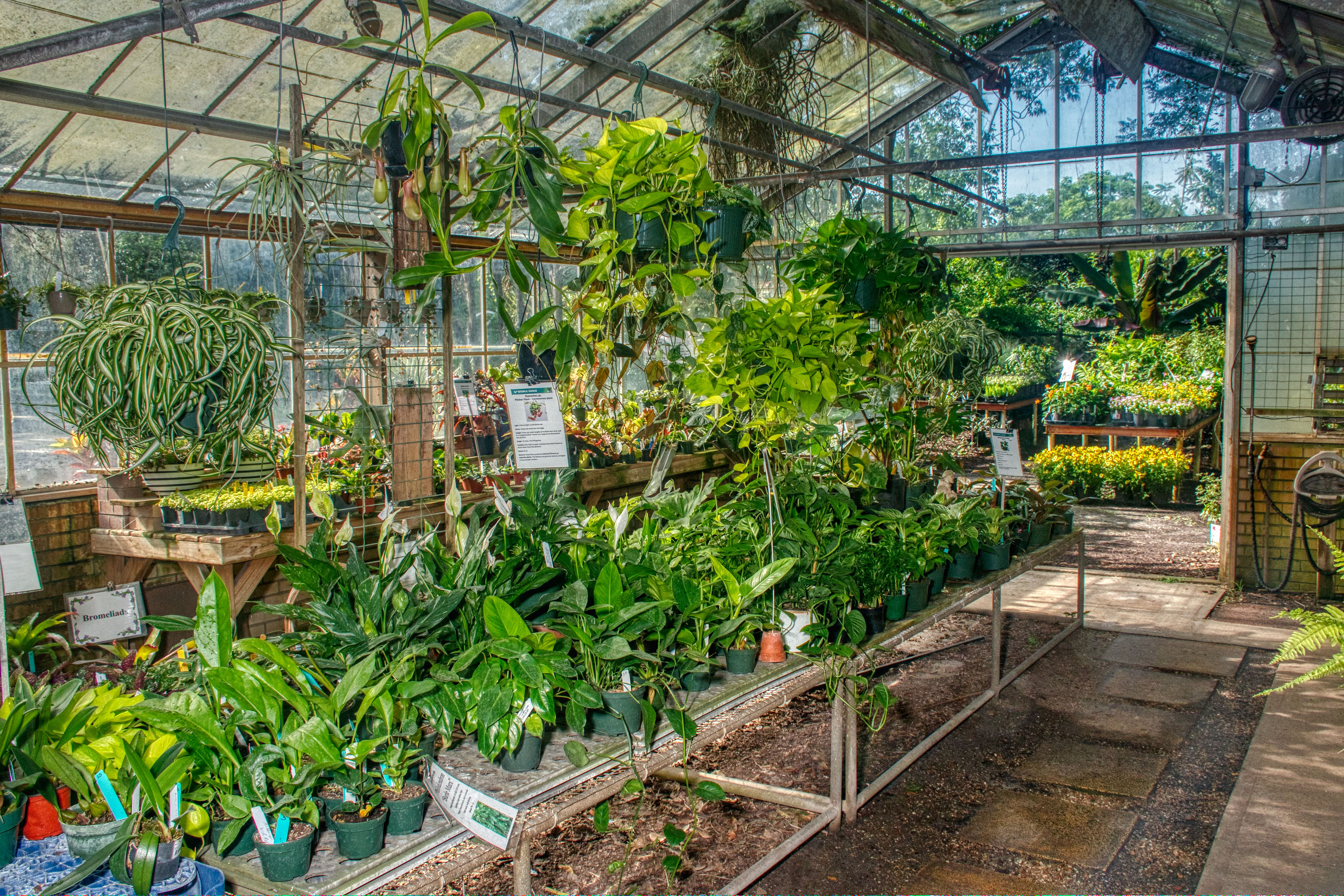 Image of Botanical Gardens Plant Shop