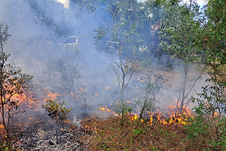 smoke from burn