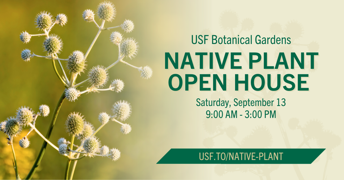 native plant open house details