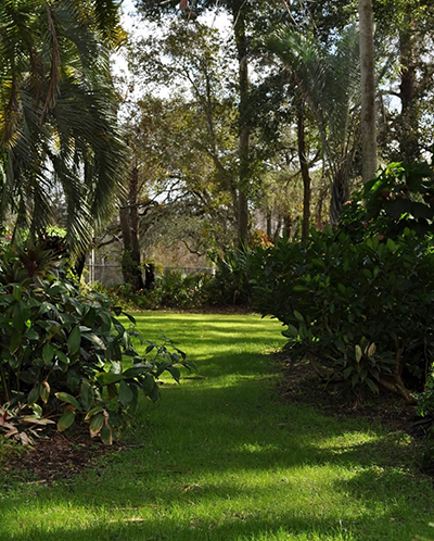 pathway to the Gardens