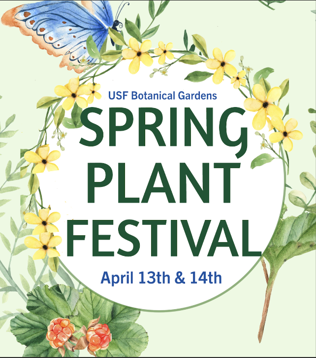spring plant festival flyer 24