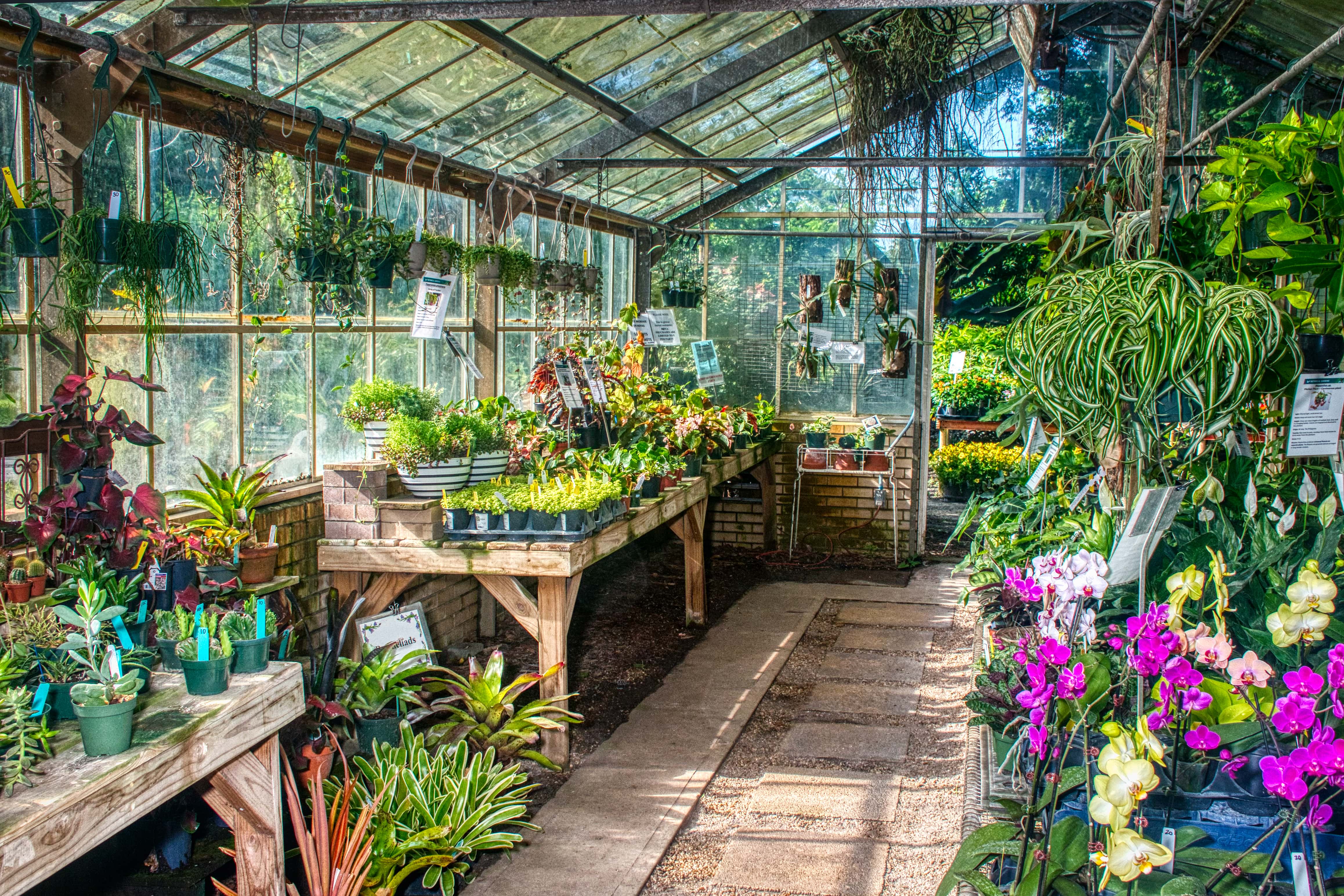 Picture of Plant Shop