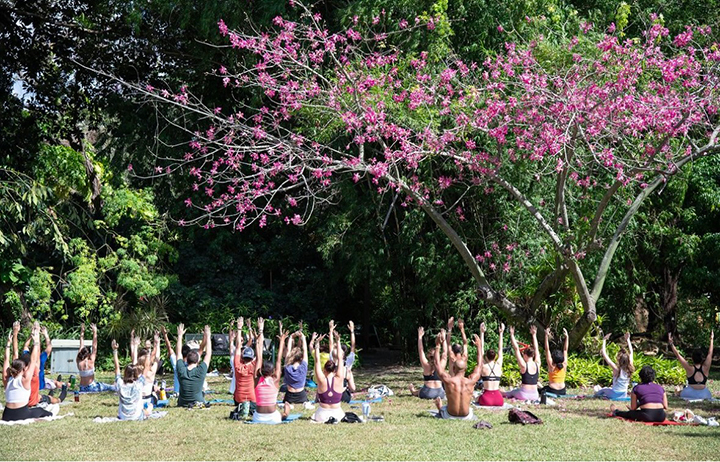 people practicing yoga in the Gardens