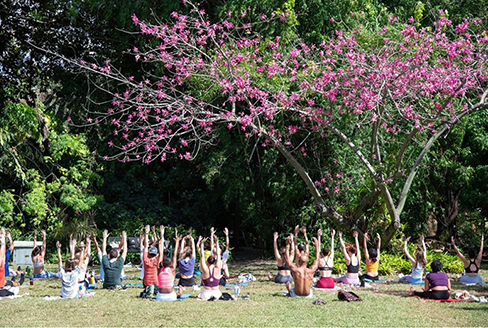 people practicing yoga at the Botanical Gardens