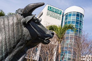 USFSP bull statue and exterior of USC