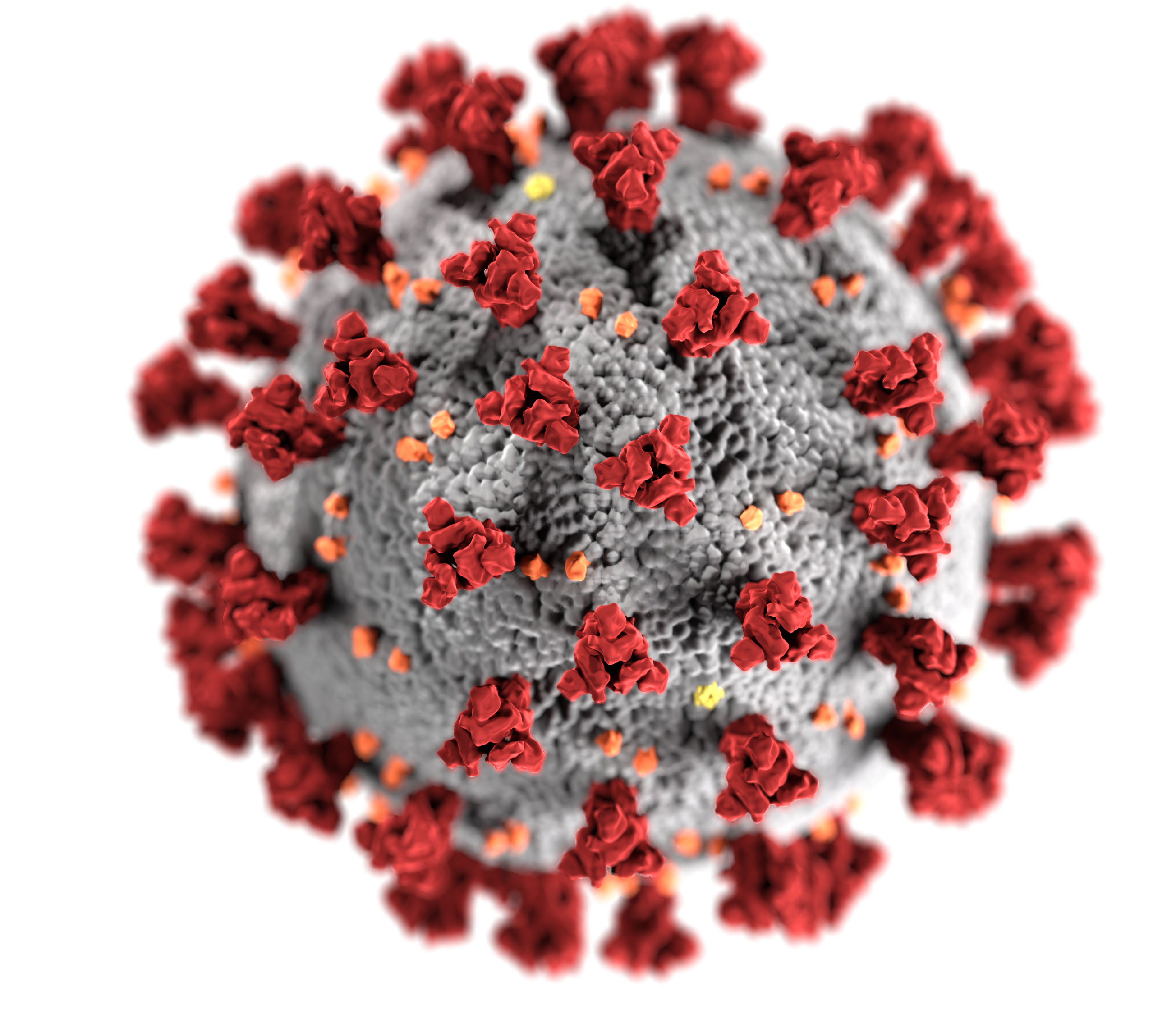 coronavirus