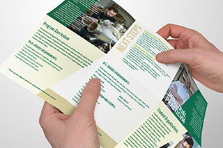 Marketing brochure